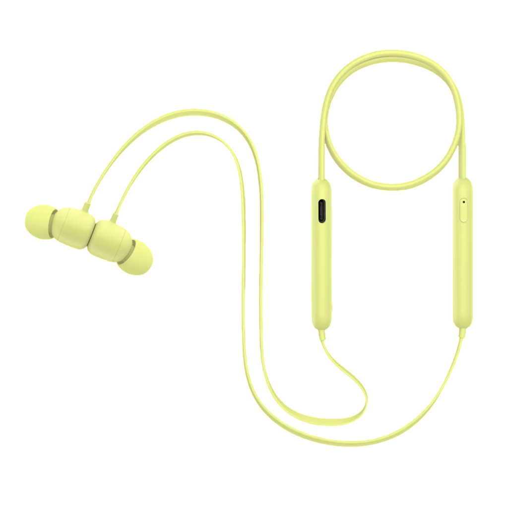 Earphones